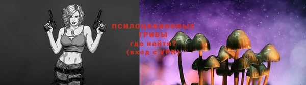 не бодяженный Армянск