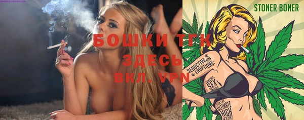 ПСИЛОЦИБИНОВЫЕ ГРИБЫ Аркадак