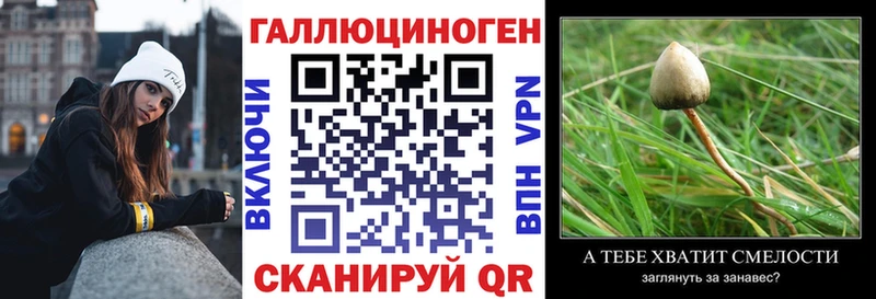 Галлюциногенные грибы мухоморы где купить наркоту Суджа